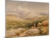 In the Welsh Hills-David Cox-Mounted Giclee Print