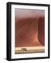 In the Wild-Marco Tagliarino-Framed Photographic Print