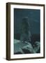 In the Wilds of the North-Ivan Ivanovich Shishkin-Framed Giclee Print