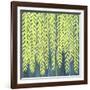 In The Willow-Herb Dickinson-Framed Photographic Print