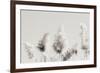 In the Wind I-Nathan Larson-Framed Photographic Print