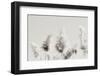 In the Wind I-Nathan Larson-Framed Photographic Print