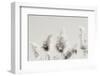 In the Wind I-Nathan Larson-Framed Photographic Print