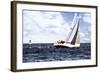 In the Wind II-Alan Hausenflock-Framed Photographic Print