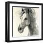 In the Wind II-Albena Hristova-Framed Art Print