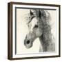 In the Wind II-Albena Hristova-Framed Art Print