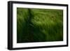 In the Wind-Kovop-Framed Premium Photographic Print