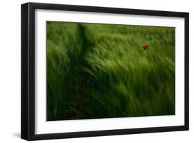 In the Wind-Kovop-Framed Photographic Print