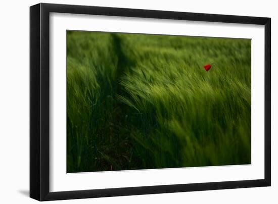 In the Wind-Kovop-Framed Photographic Print