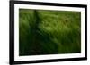 In the Wind-Kovop-Framed Photographic Print