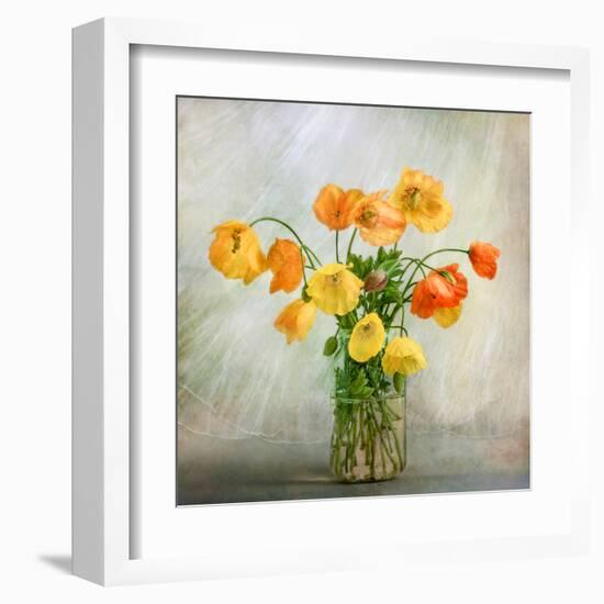 In the window-Mandy Disher-Framed Art Print