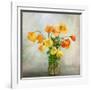 In the window-Mandy Disher-Framed Art Print