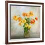 In the window-Mandy Disher-Framed Art Print