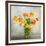 In the window-Mandy Disher-Framed Art Print