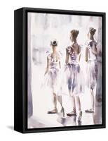 In The Wings-Aimee Del Valle-Framed Stretched Canvas