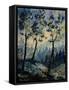 In The Wood 45270108-Pol Ledent-Framed Stretched Canvas