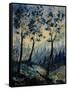 In The Wood 45270108-Pol Ledent-Framed Stretched Canvas