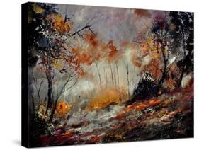 In The Wood 45410160-Pol Ledent-Stretched Canvas