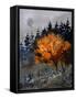 In The Wood 4551-Pol Ledent-Framed Stretched Canvas