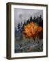 In The Wood 4551-Pol Ledent-Framed Art Print