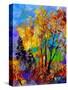 In The Wood 563180-Pol Ledent-Stretched Canvas