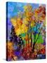 In The Wood 563180-Pol Ledent-Stretched Canvas