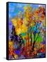 In The Wood 563180-Pol Ledent-Framed Stretched Canvas