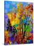 In The Wood 563180-Pol Ledent-Stretched Canvas