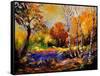 In The Wood 673180-Pol Ledent-Framed Stretched Canvas