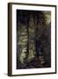 In the Wood-Ernesto Rayper-Framed Giclee Print