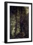 In the Wood-Ernesto Rayper-Framed Giclee Print