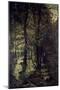 In the Wood-Ernesto Rayper-Mounted Giclee Print