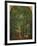 In the Woods-Edmund George Warren-Framed Giclee Print