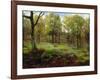 In the Woods-Henry Crossland-Framed Giclee Print