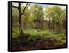 In the Woods-Henry Crossland-Framed Stretched Canvas