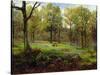 In the Woods-Henry Crossland-Stretched Canvas