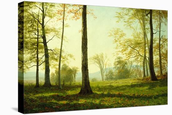 In the Yosemite Valley by Albert Bierstadt-Albert Bierstadt-Stretched Canvas