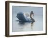 In to the Light-Bruce Dumas-Framed Giclee Print