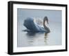 In to the Light-Bruce Dumas-Framed Giclee Print