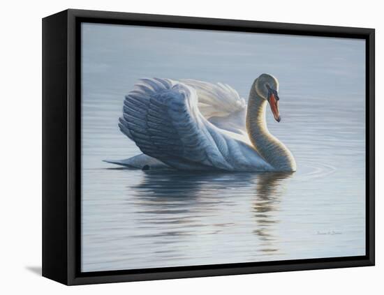 In to the Light-Bruce Dumas-Framed Stretched Canvas