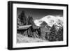 In Touch with Nature-Philippe Sainte-Laudy-Framed Photographic Print