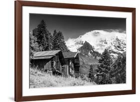 In Touch with Nature-Philippe Sainte-Laudy-Framed Photographic Print