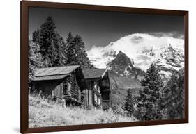 In Touch with Nature-Philippe Sainte-Laudy-Framed Photographic Print