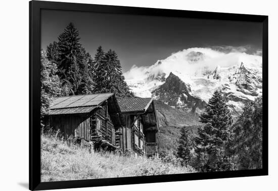 In Touch with Nature-Philippe Sainte-Laudy-Framed Photographic Print