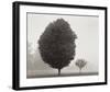 In Touch with Stillness-Kleinhans-Framed Art Print