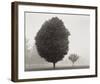 In Touch with Stillness-Kleinhans-Framed Art Print