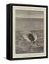 In Tow-Arthur Hopkins-Framed Stretched Canvas