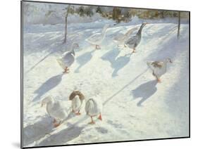 In Two Directions-Timothy Easton-Mounted Giclee Print