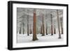 In White-Dragisa Petrovic-Framed Giclee Print