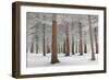 In White-Dragisa Petrovic-Framed Giclee Print